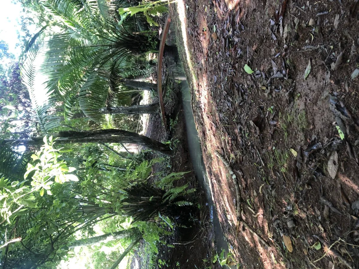 Se alquila restaurante con amplio terreno en La Chorrera
