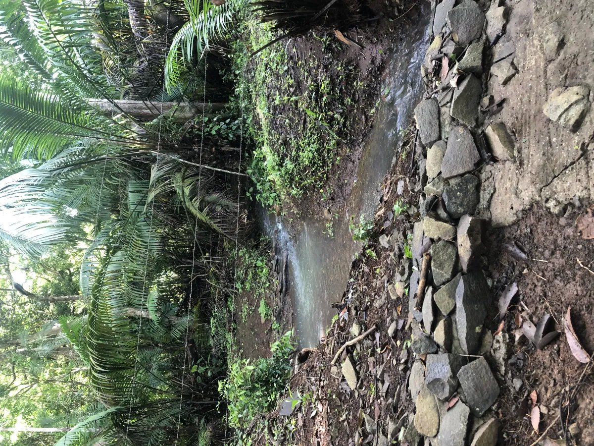 Se alquila restaurante con amplio terreno en La Chorrera
