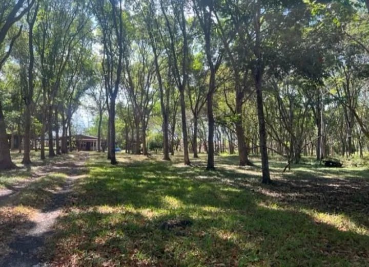 Venta de terreno en Chame, Gorgona ubicado sobre la Vía Interamericana
