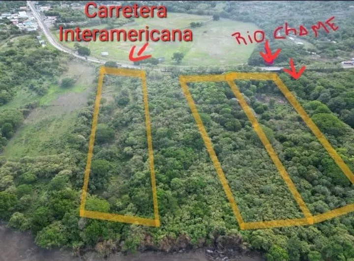 Unimproved Land For Sale in Chame