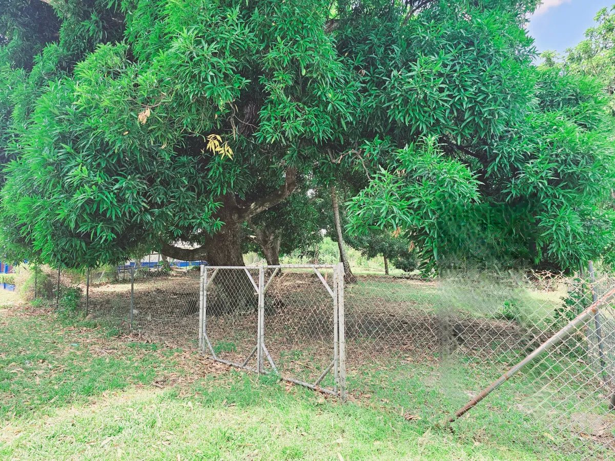 Venta de terreno en Chame, Panamá Oeste