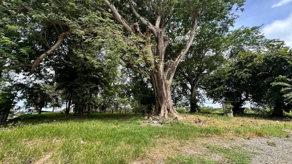 Se vende terreno en David, Chiriquí