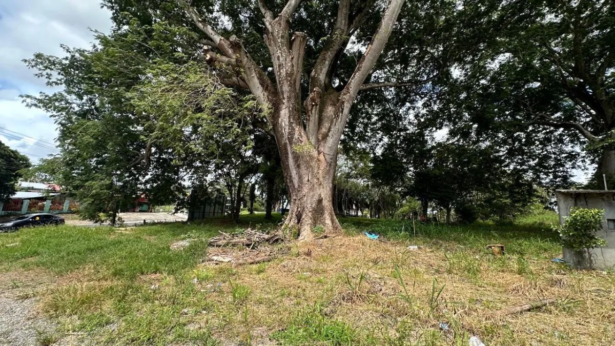 Se vende terreno en David, Chiriquí