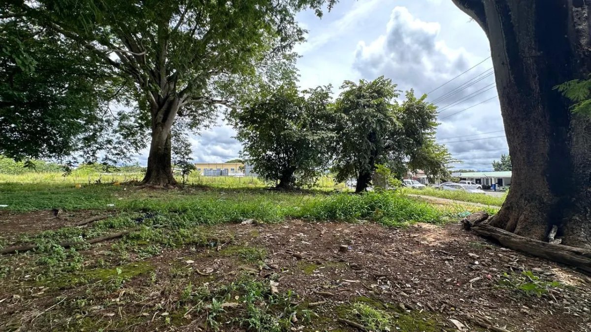 Se vende terreno en David, Chiriquí