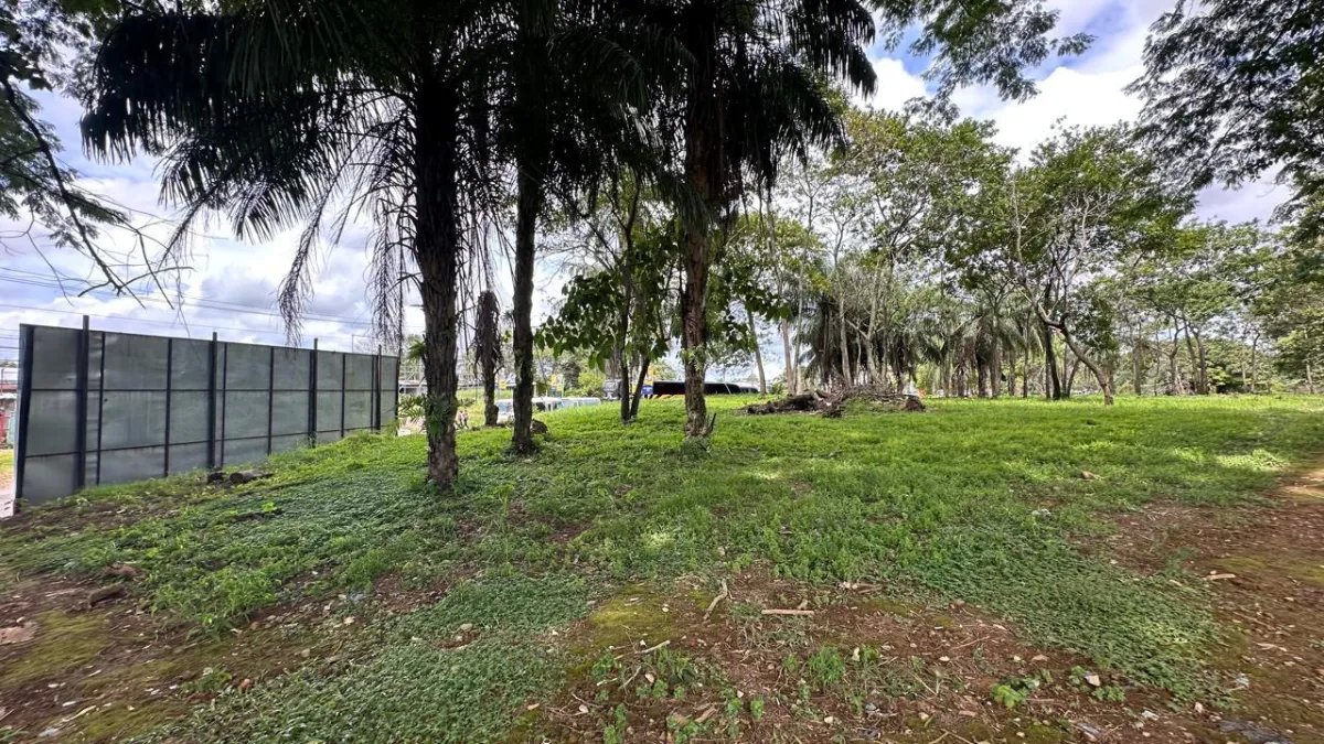 Se vende terreno en David, Chiriquí