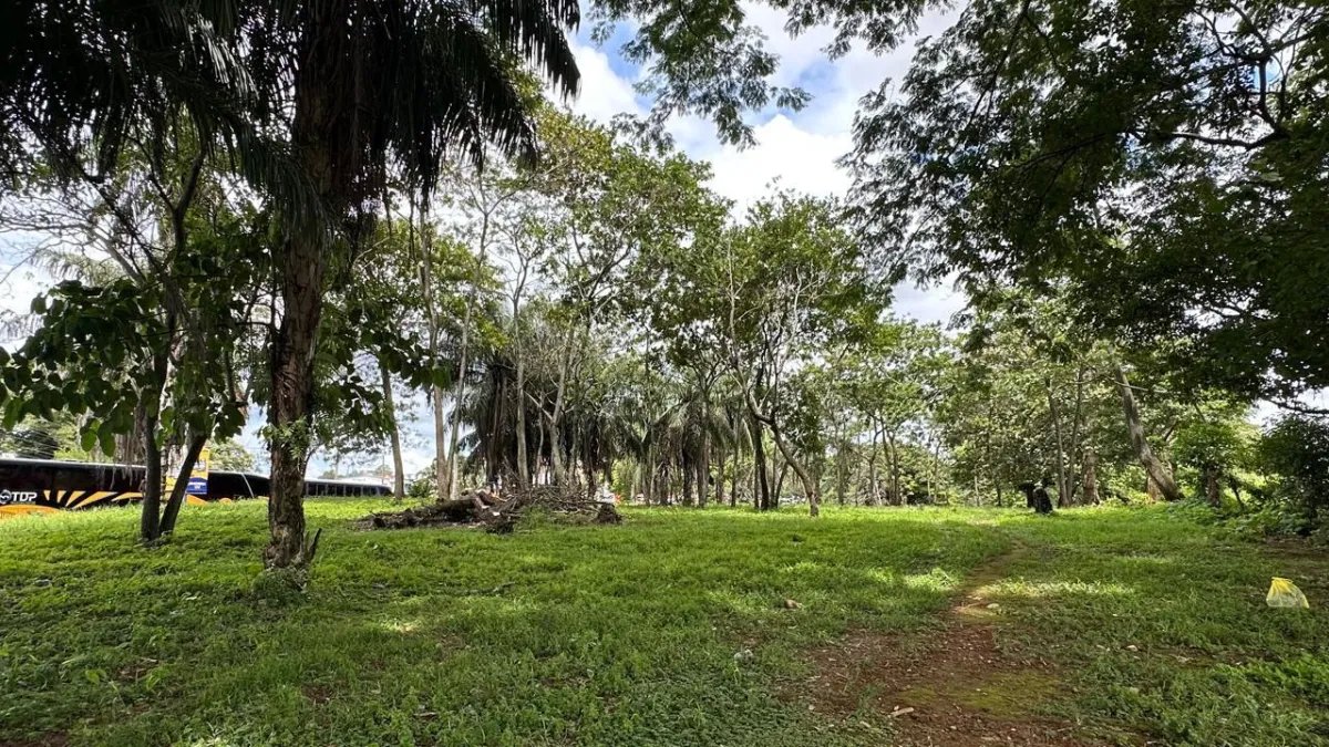 Se vende terreno en David, Chiriquí