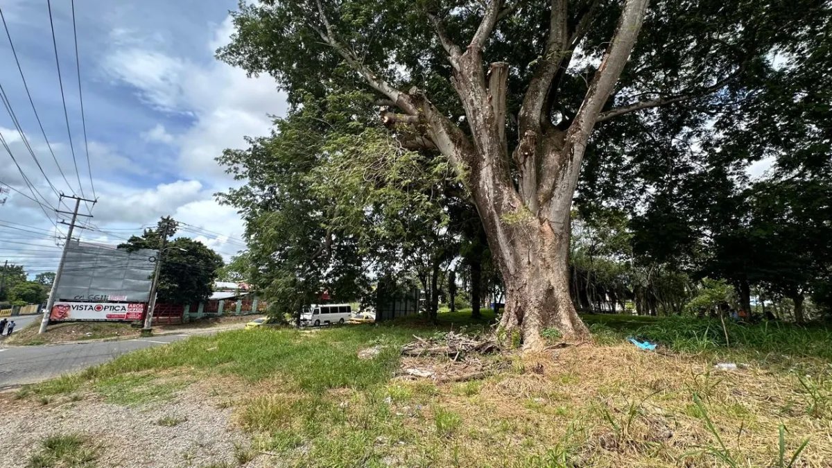 Se vende terreno en David, Chiriquí