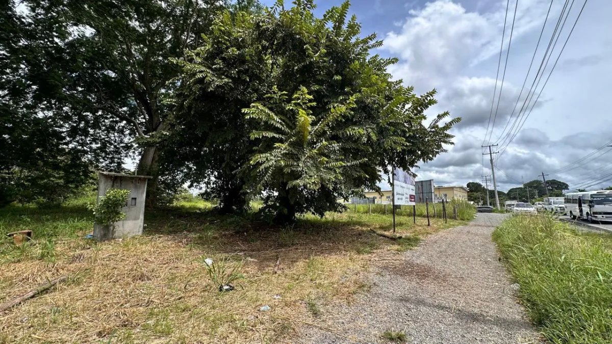 Se vende terreno en David, Chiriquí