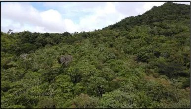 Venta de terreno en el Manglarito, Sorá