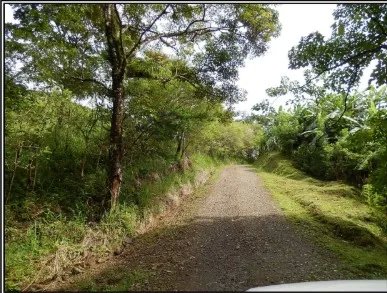 Venta de terreno en el Manglarito, Sorá