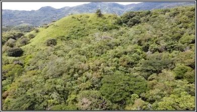Venta de terreno en el Manglarito, Sorá