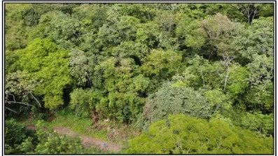 Venta de terreno en el Manglarito, Sorá