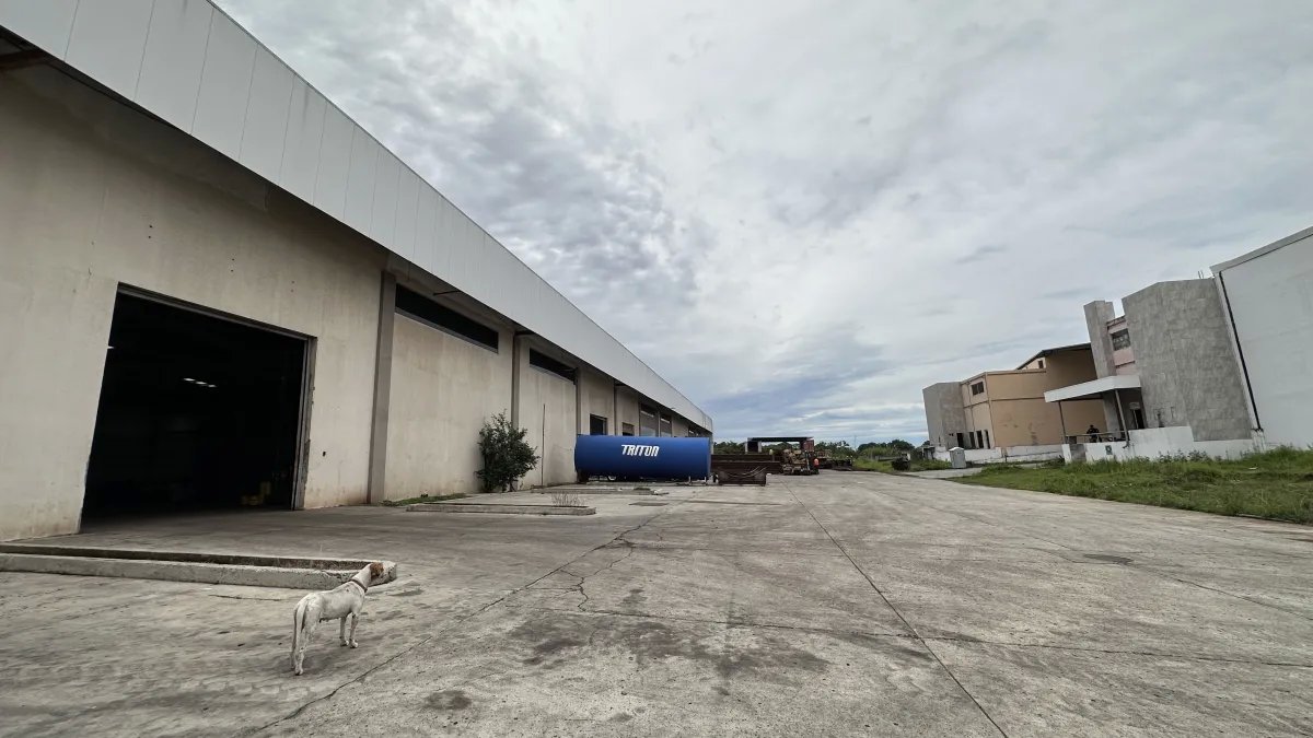Industrial For Rent in Pacora