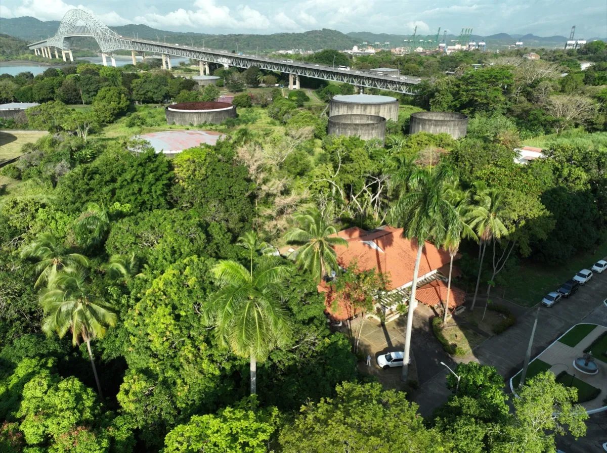 Venta de terreno en Amador, oportunidad única de inversión