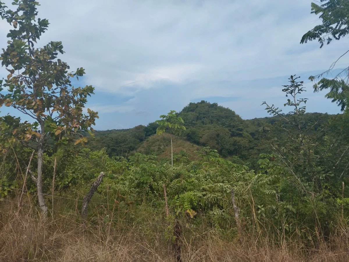 Se vende terreno en La Tambora, El Cacao, Capira
