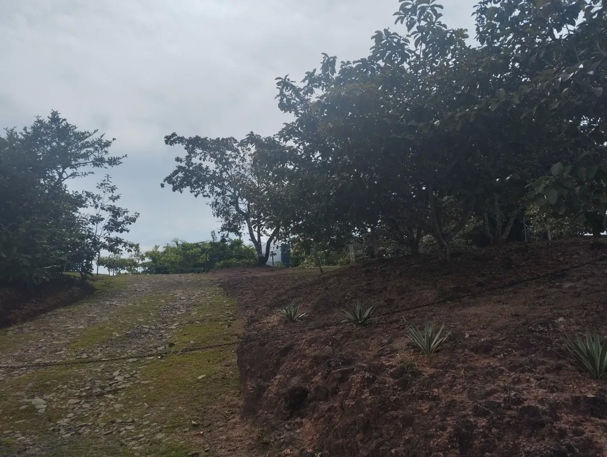 Se vende terreno en La Tambora, El Cacao, Capira