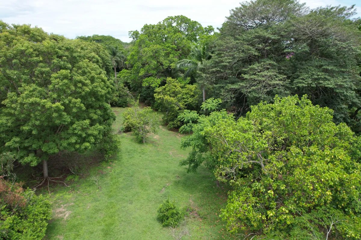 Se vende lote en Santa Clara, Coclé