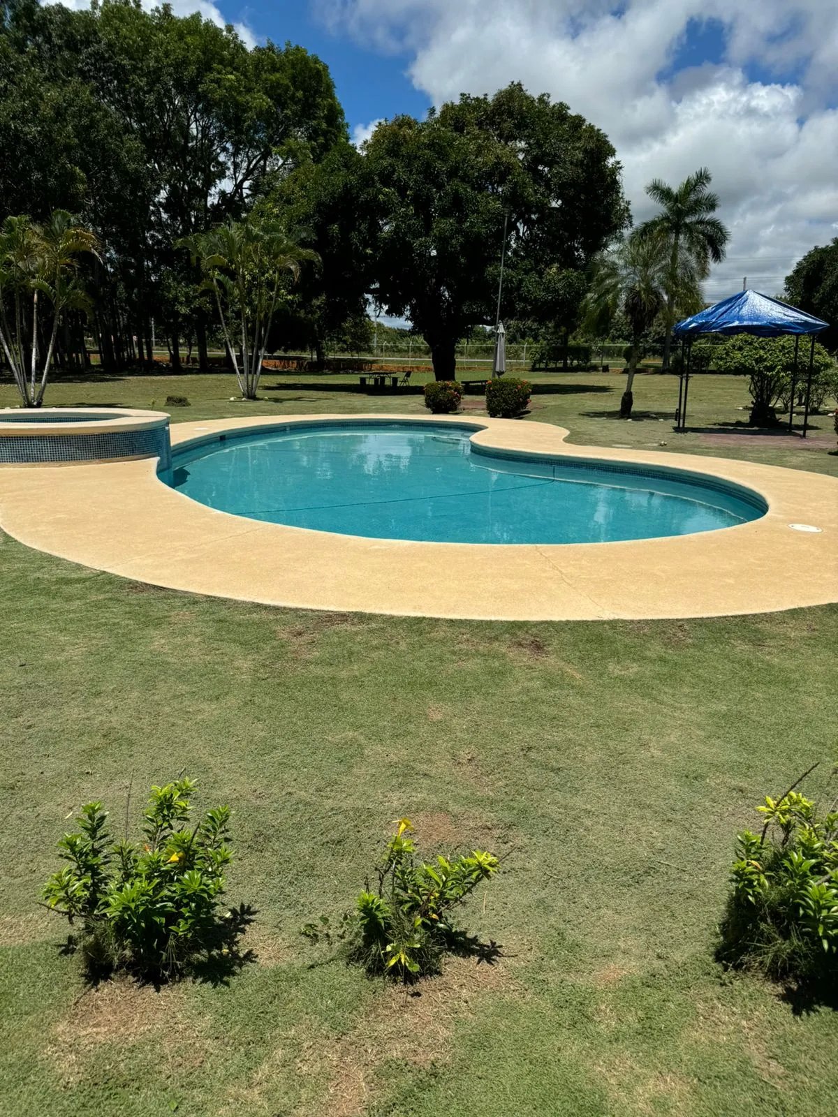 Venta de finca para inversión