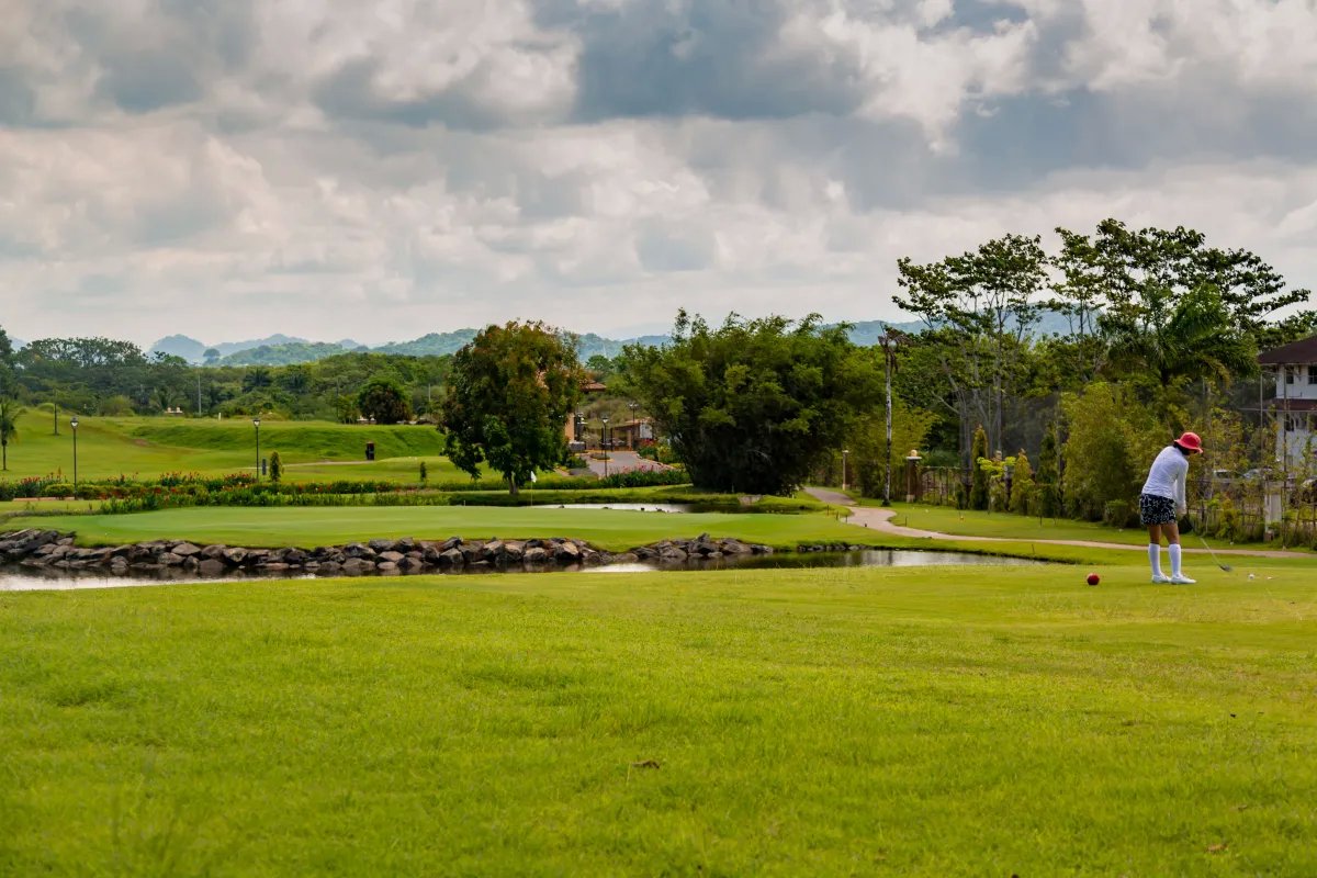 Lotes en venta en Campo de Golf, Cocolí
