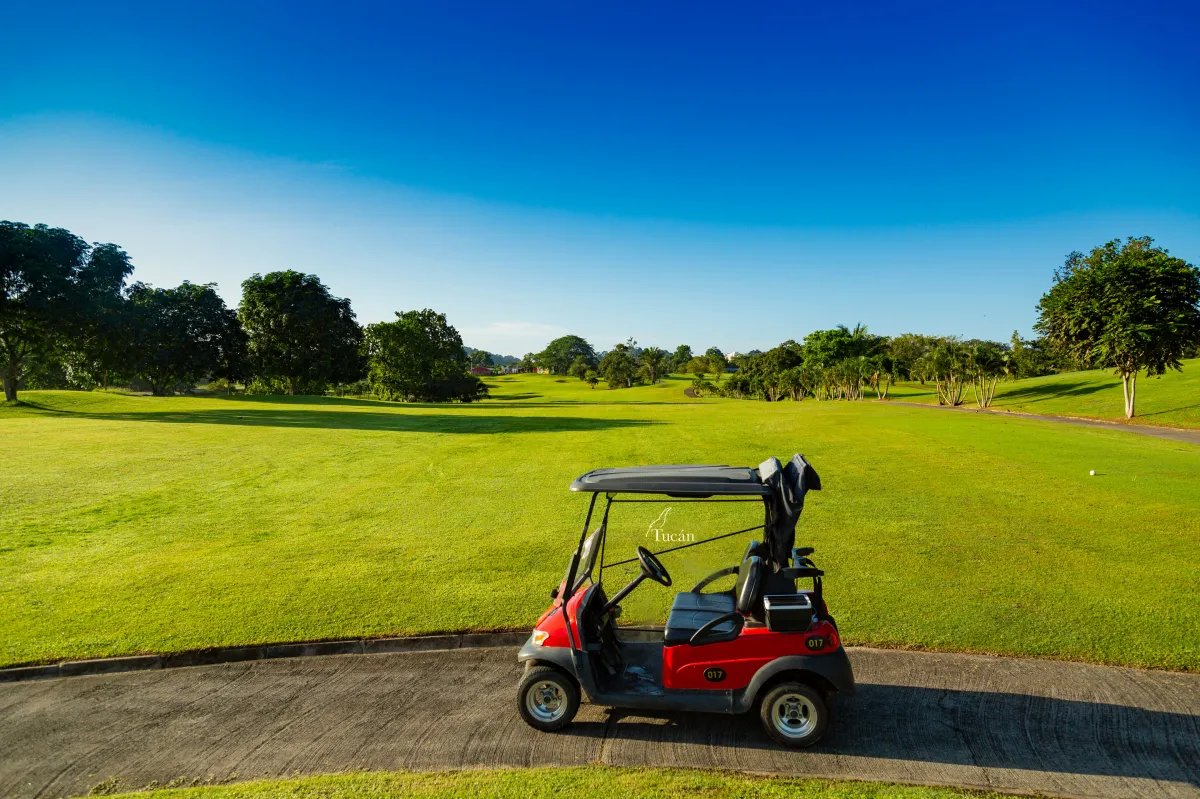Lotes en venta en Campo de Golf, Cocolí