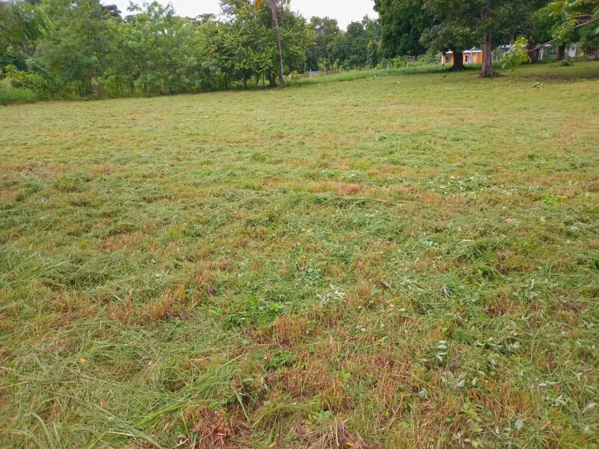 Venta de Terreno en El Chirú, Coclé, Panamá