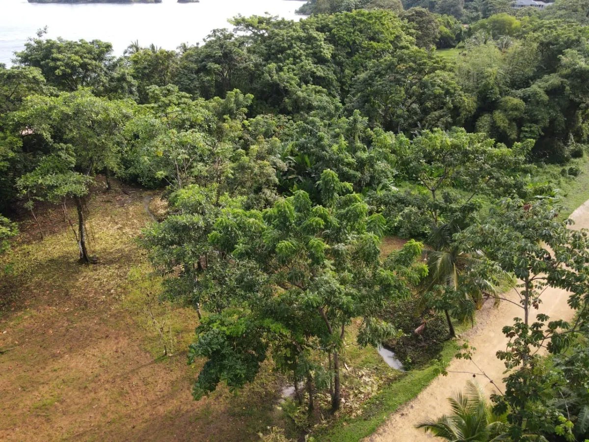 Lote frente al mar en Isla Bastimentos, Bocas del Toro, Panamá