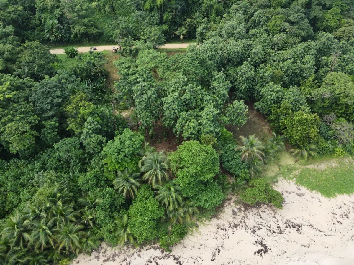 Lote frente al mar en Isla Bastimentos, Bocas del Toro, Panamá