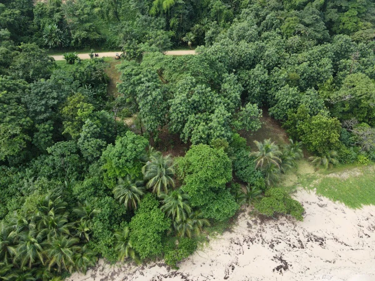 Lote frente al mar en Isla Bastimentos, Bocas del Toro, Panamá