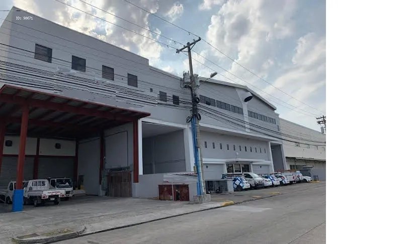 Industrial For Rent in Costa del Este