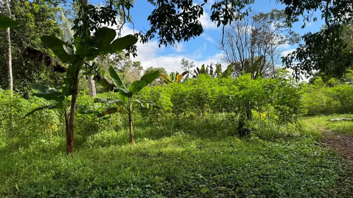 VENTA DE TERRENO  INVERSIÓN ESTRATÉGICA EN LA PROVINCIA DE CHIRIQUÍ