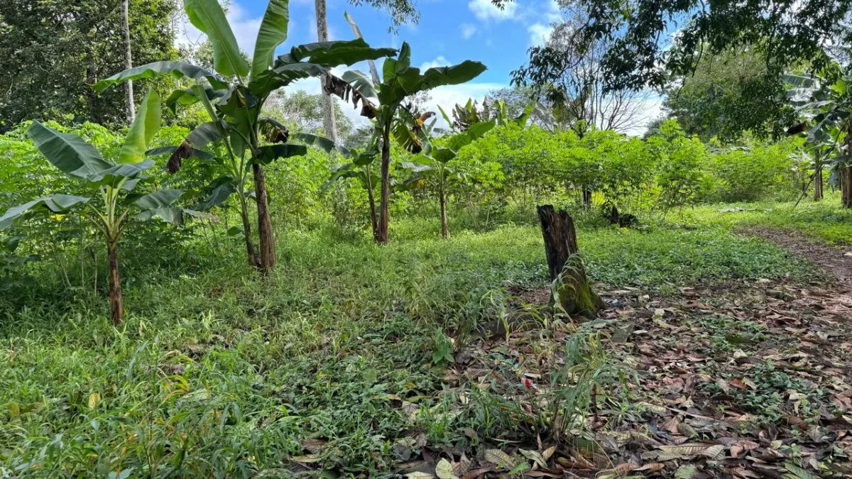 VENTA DE TERRENO  INVERSIÓN ESTRATÉGICA EN LA PROVINCIA DE CHIRIQUÍ