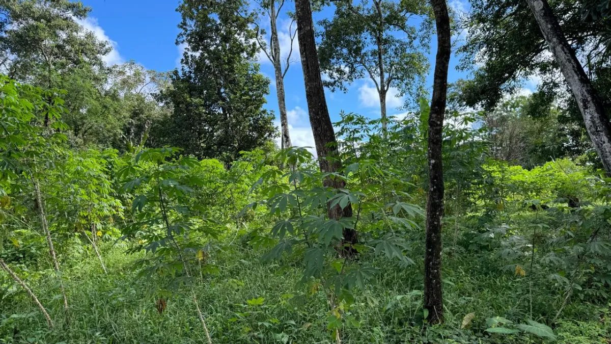 VENTA DE TERRENO  INVERSIÓN ESTRATÉGICA EN LA PROVINCIA DE CHIRIQUÍ