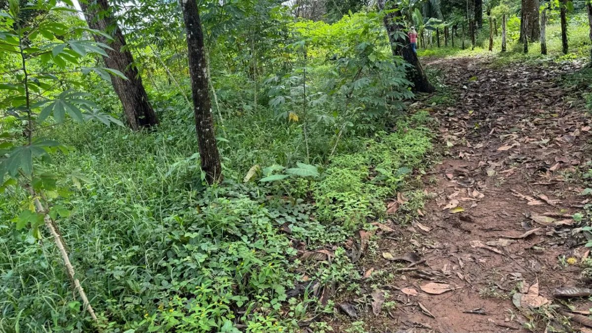 VENTA DE TERRENO  INVERSIÓN ESTRATÉGICA EN LA PROVINCIA DE CHIRIQUÍ