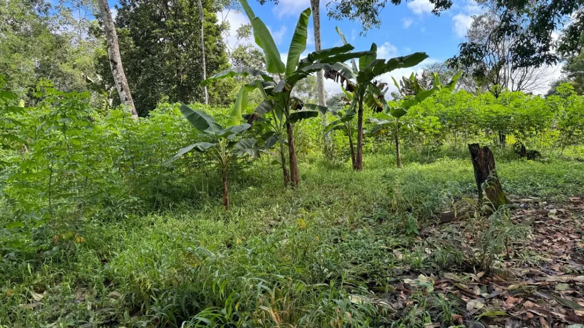 VENTA DE TERRENO  INVERSIÓN ESTRATÉGICA EN LA PROVINCIA DE CHIRIQUÍ