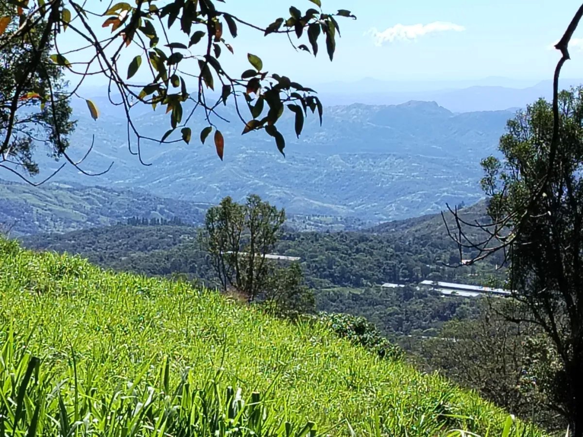 ¡Hermoso terreno a la venta en Boquete!/ Beautiful Land for Sale in Bo...