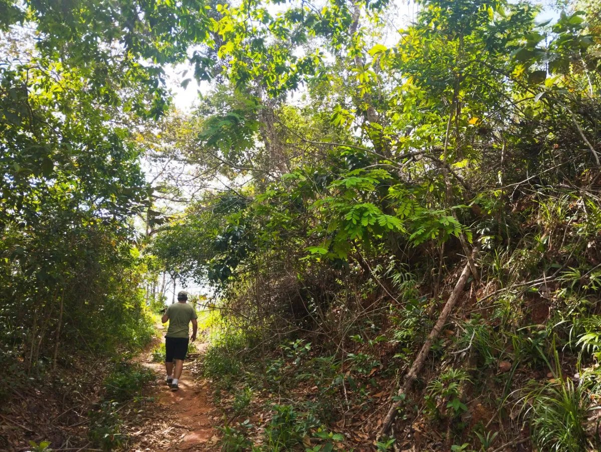 Se vende lote de terreno en Villalobos, Pedregal