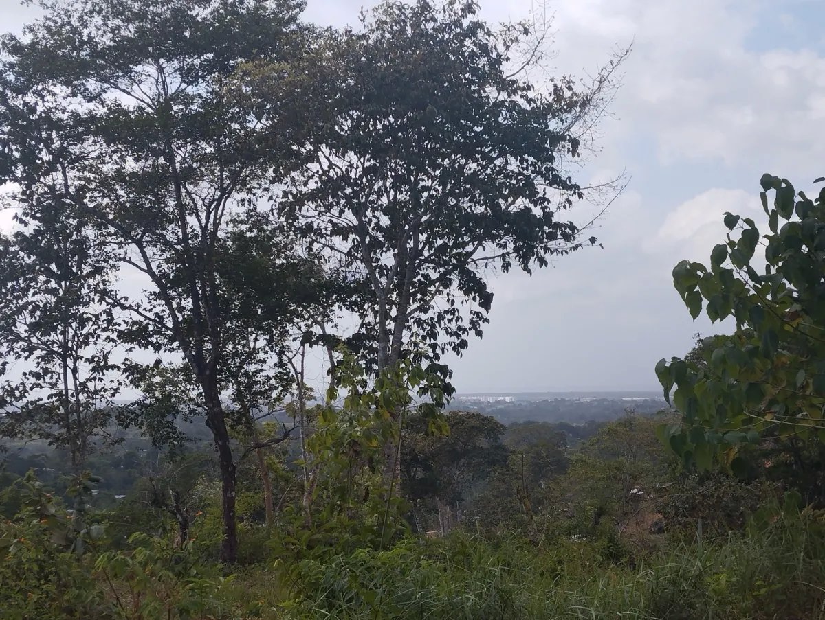 Se vende lote de terreno en Villalobos, Pedregal