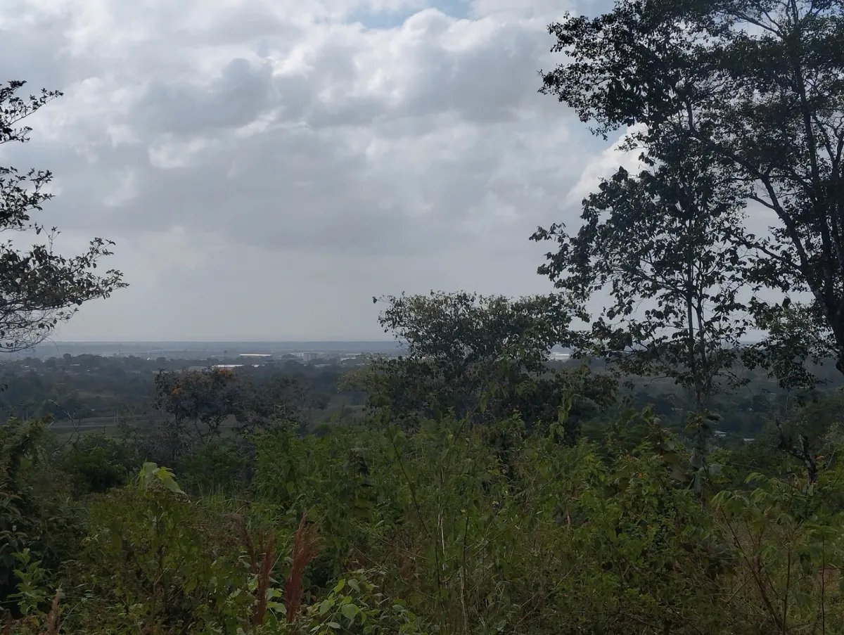 Se vende lote de terreno en Villalobos, Pedregal
