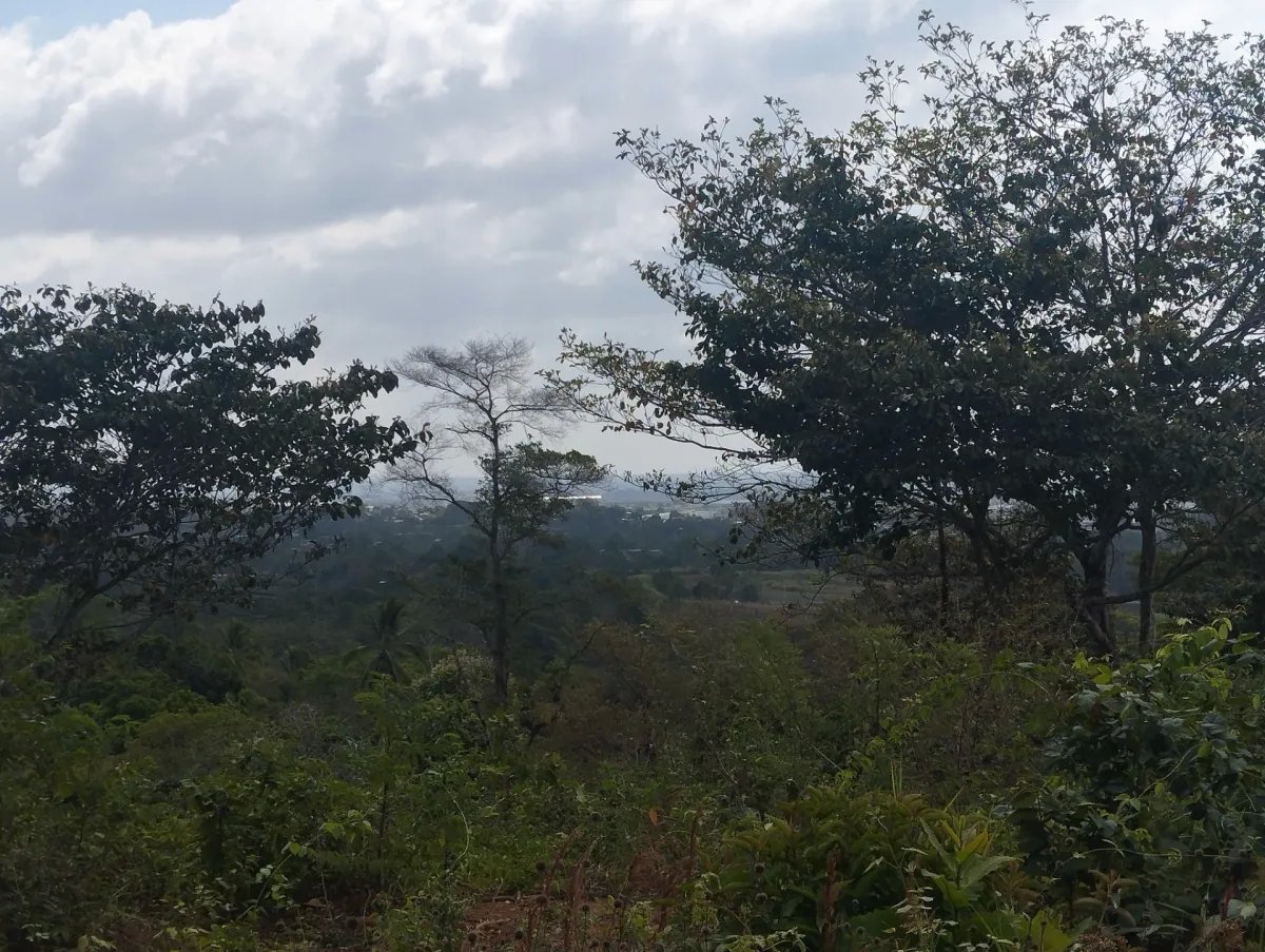 Se vende lote de terreno en Villalobos, Pedregal