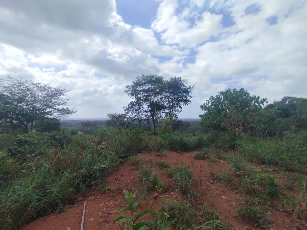 Se vende lote de terreno en Villalobos, Pedregal