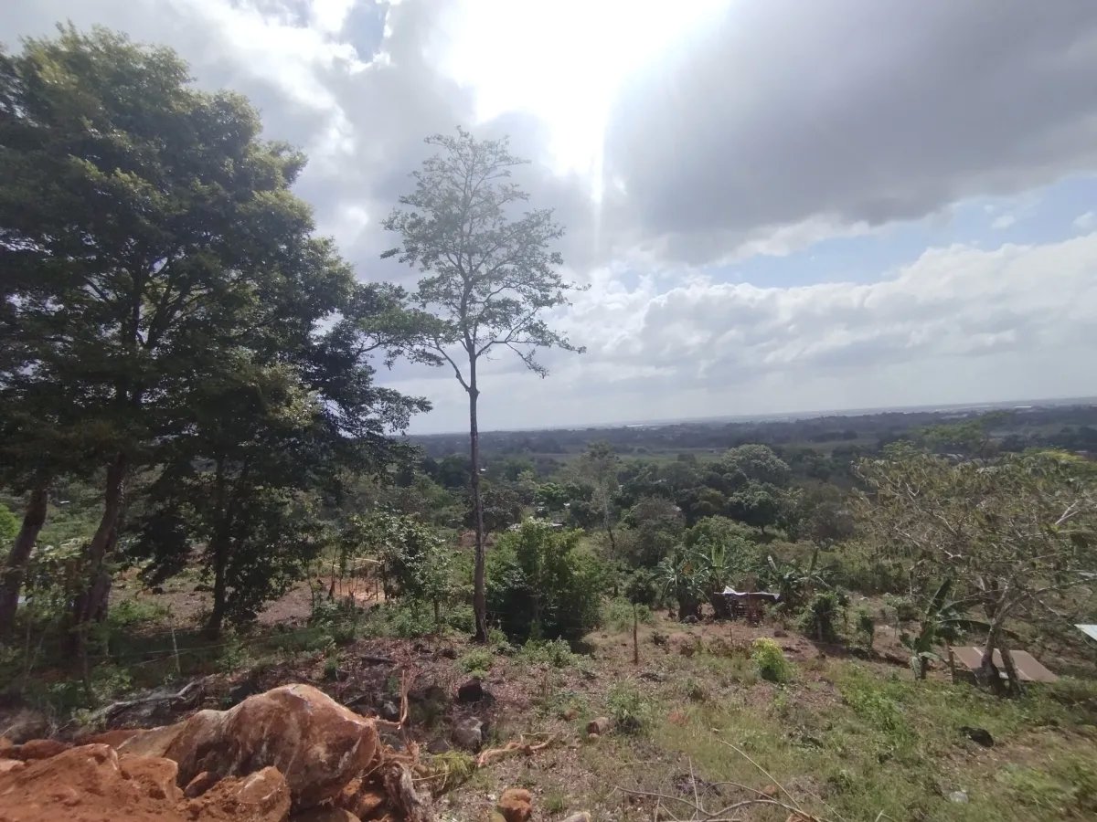 Se vende lote de terreno en Villalobos, Pedregal