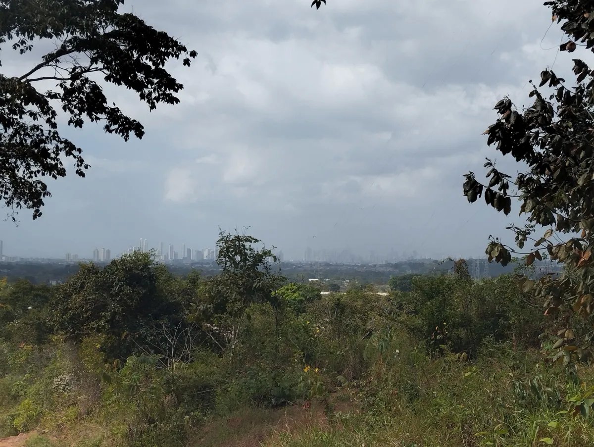 Se vende lote de terreno en Villalobos, Pedregal