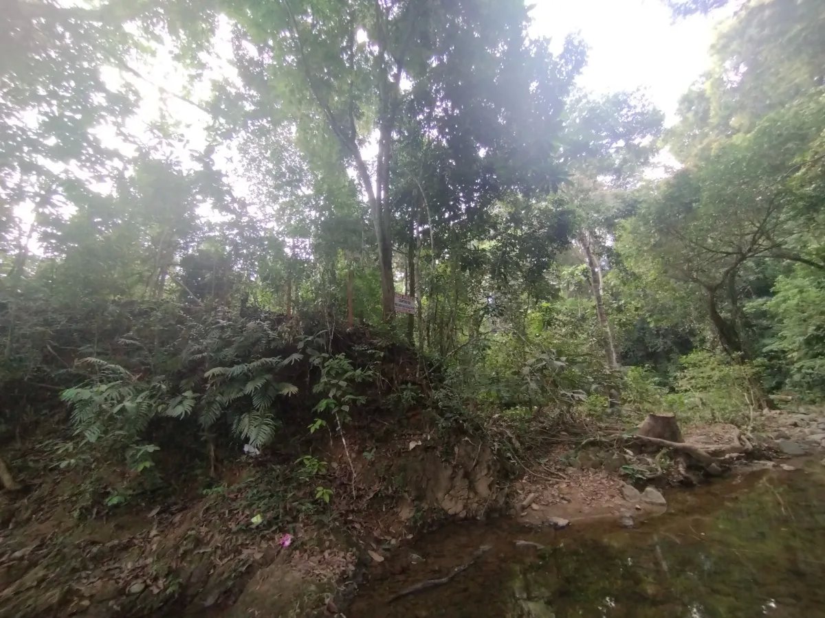 Se vende lote de terreno en Villalobos, Pedregal