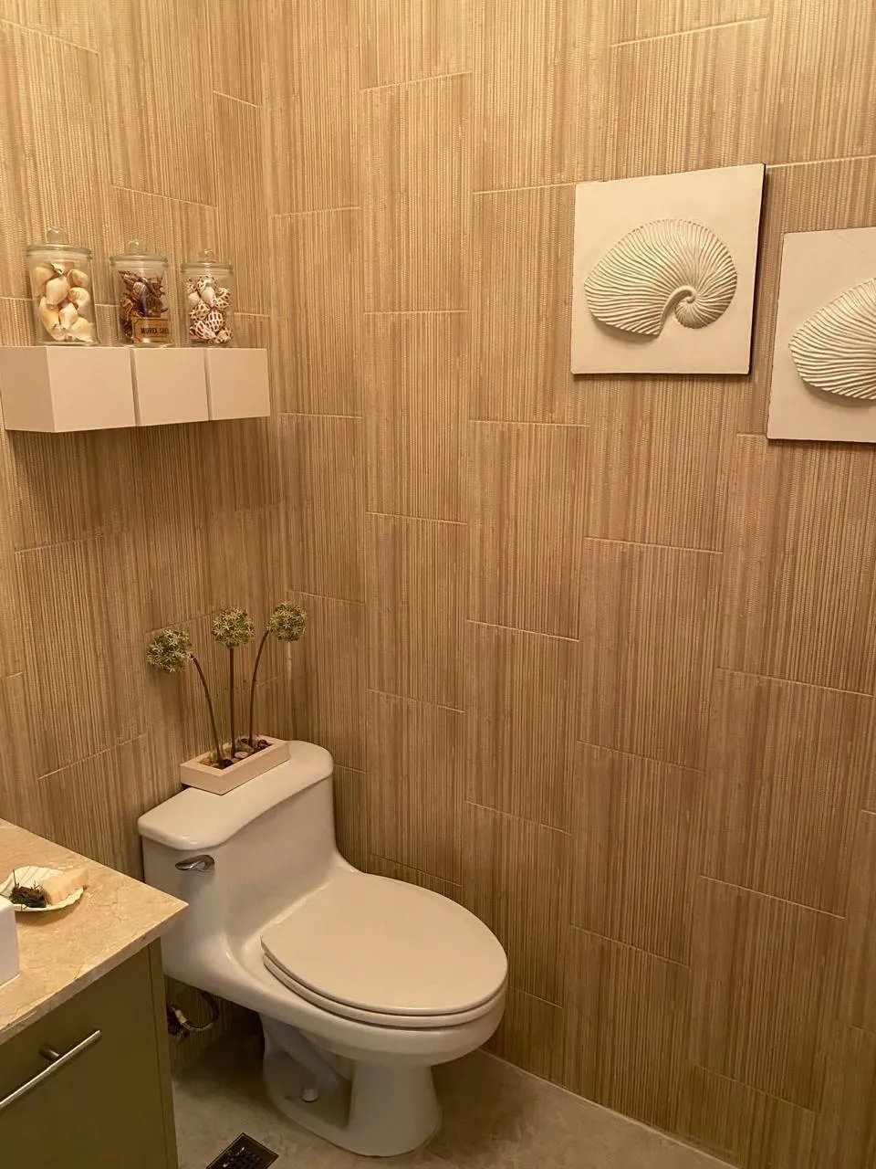 Se vende apartamento en Bijao, Río Hato