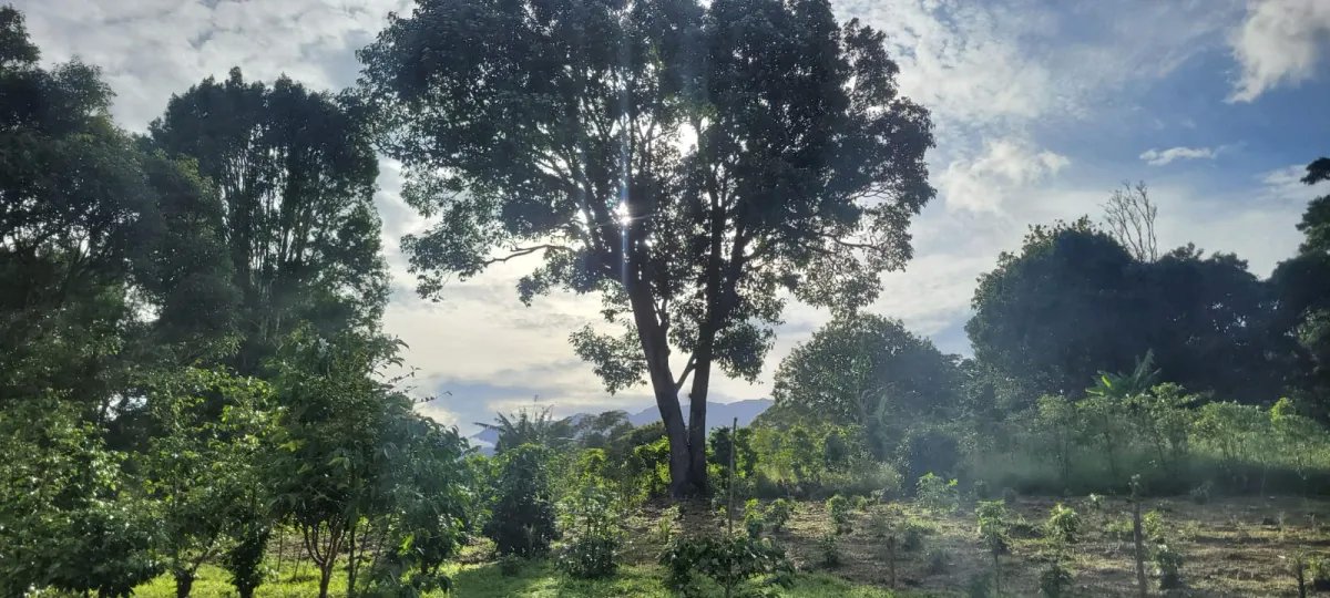 Terreno en Venta en Boquete  3,333 m² con Vista al Volcán Barú/ Land ...