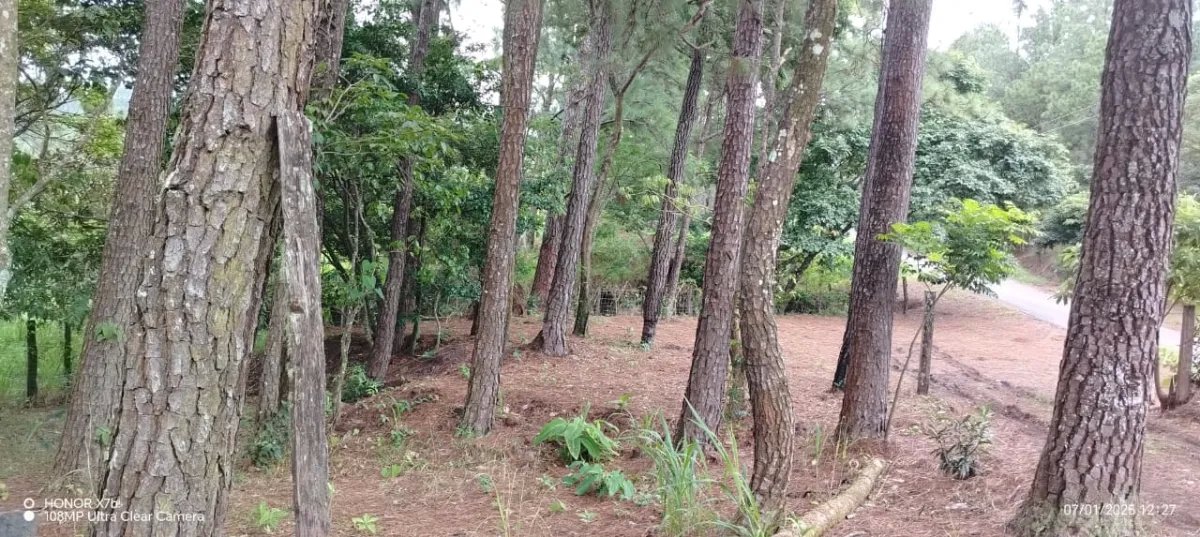 Oportunidad de Inversión: Tierra Fértil con Clima Ideal en Hornito, Ch...