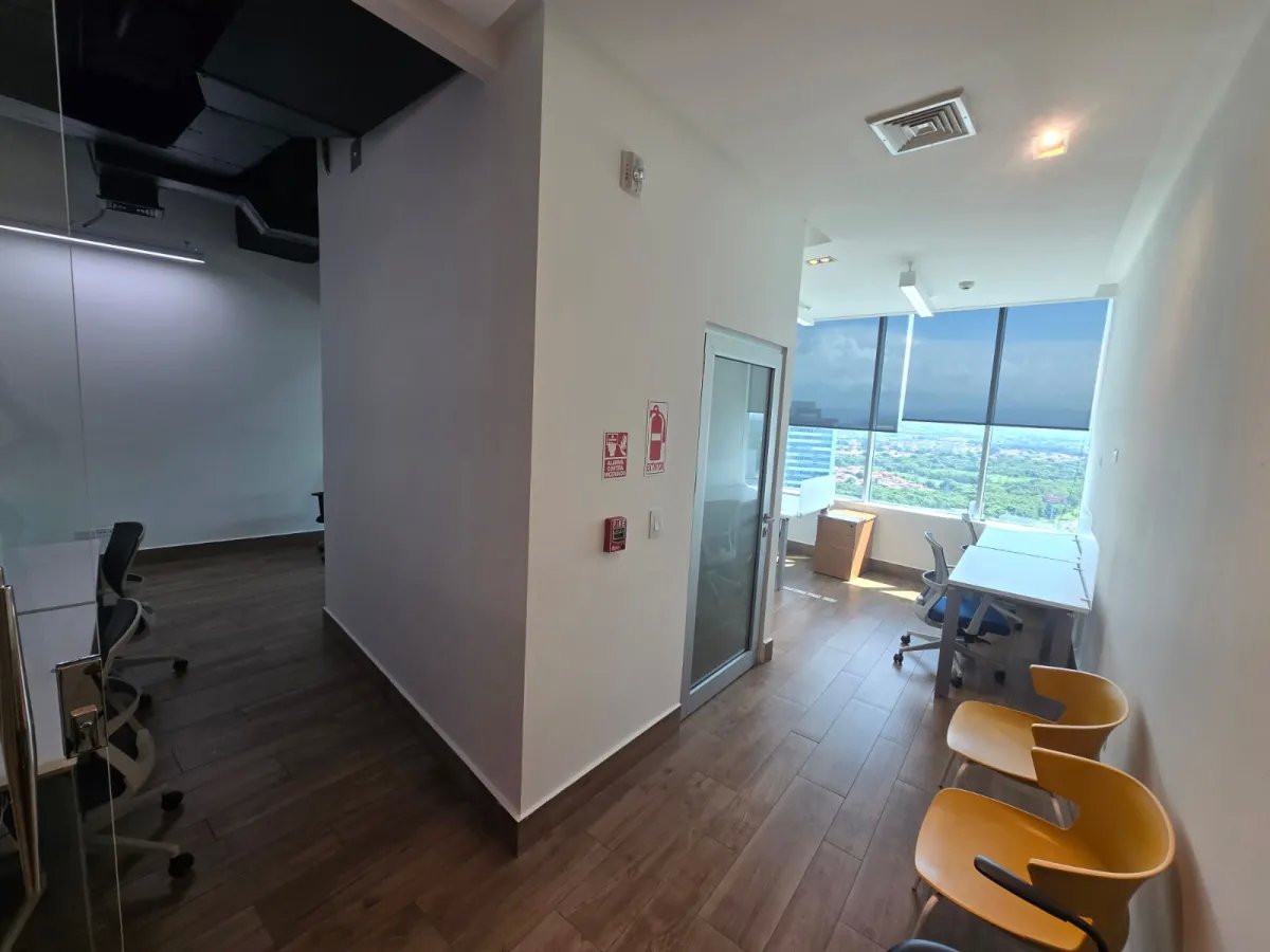 Office For Rent in Costa del Este