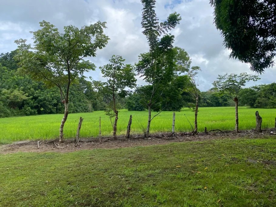 Park-Like Acreage with Endless Potential