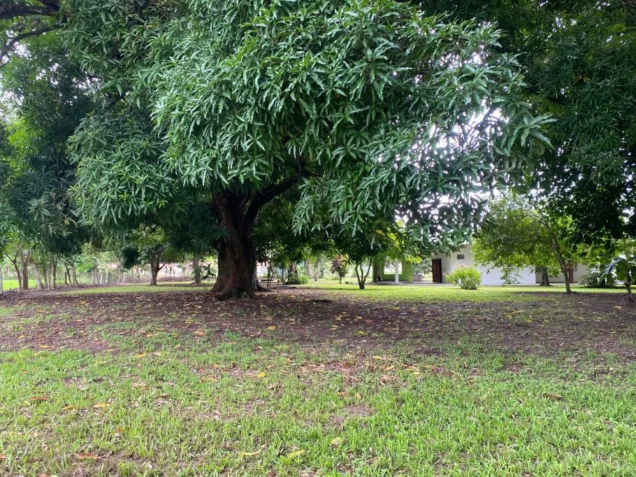 Park-Like Acreage with Endless Potential