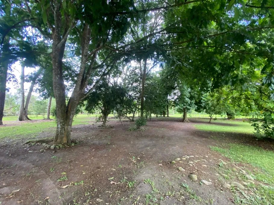Park-Like Acreage with Endless Potential